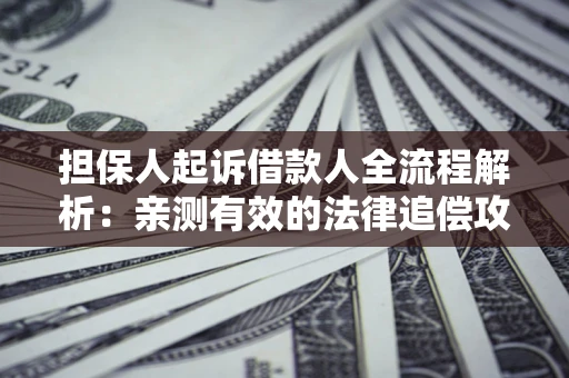 济南担保人起诉借款人全流程解析：亲测有效的法律追偿攻略