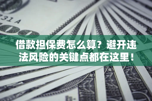 济南借款担保费怎么算？避开违法风险的关键点都在这里！