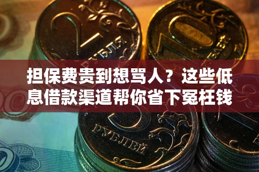 济南担保费贵到想骂人？这些低息借款渠道帮你省下冤枉钱