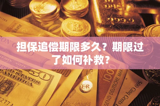 济南担保追偿期限多久？期限过了如何补救？