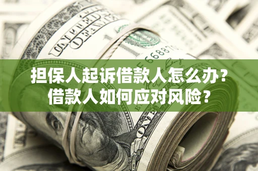 济南担保人起诉借款人怎么办？借款人如何应对风险？